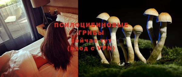 таблы Михайловск