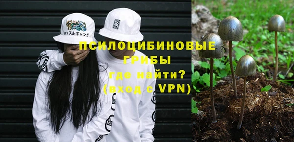 гидропоника Михайлов