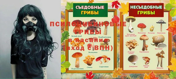 дживик Михайловка