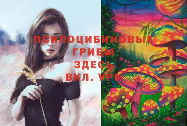 гидропоника Михайлов