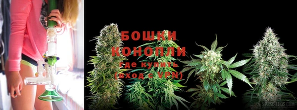 дживик Михайловка