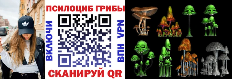 Галлюциногенные грибы мухоморы  хочу наркоту  Саранск 