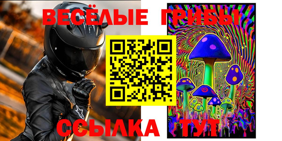 Галлюциногенные грибы Psilocybine cubensis Саранск