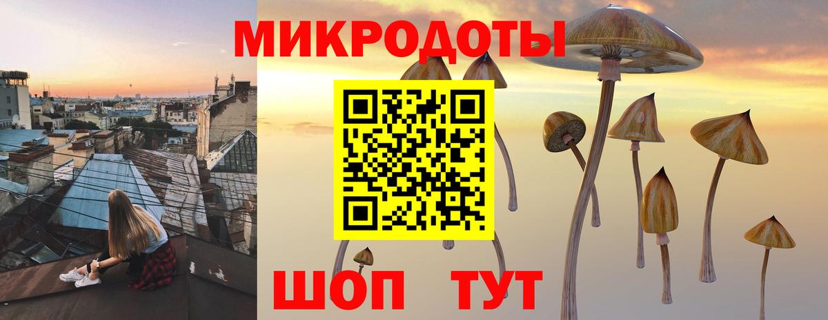 Саранск  где купить наркоту  Вход с VPN  Галлюциногенные грибы Cubensis  Галлюциногенные грибы прущие грибы 