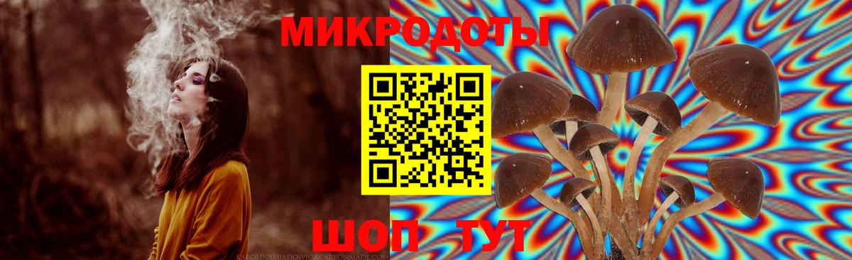 Псилоцибиновые грибы Magic Shrooms Саранск